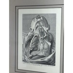 1777 Anatomy,Arteries of the Thorax, Custom Beck Frame D. F Cameron 3/90